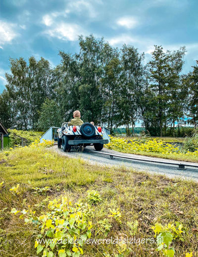 Loonse en Drunense Duinen met kinderen