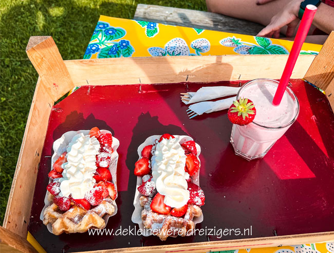 aardbeienterras Rijsbergen met kind