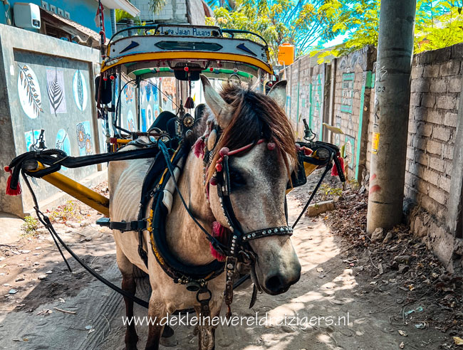 Gili Trawangan paard en wagen