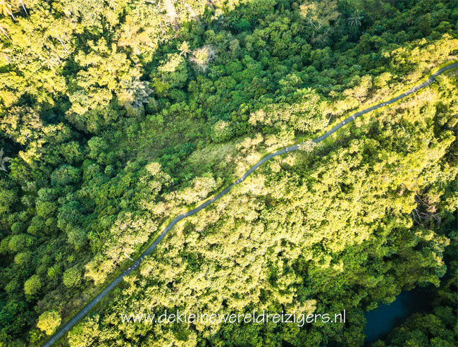 Campuhan Ridge Walk Ubud met kinderen