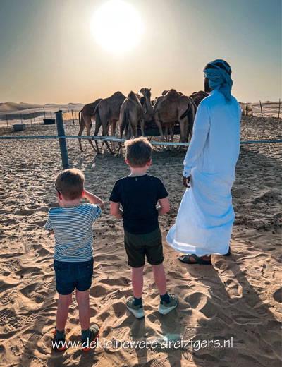 Woestijn Abu Dhabi met kinderen