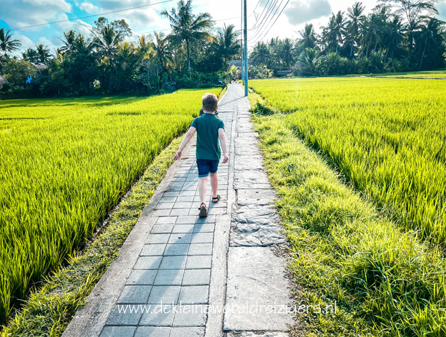 Sweet Orange Walk Trail Ubud met kind