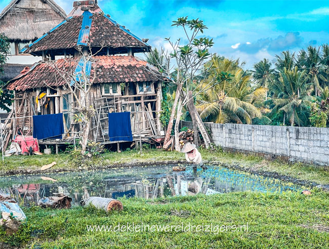 Sweet Orange Walk Trail Ubud