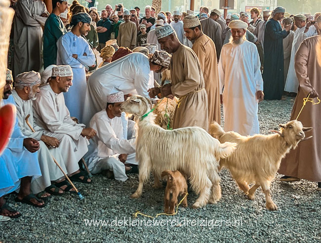 Geitenmarkt Nizwa met kinderen